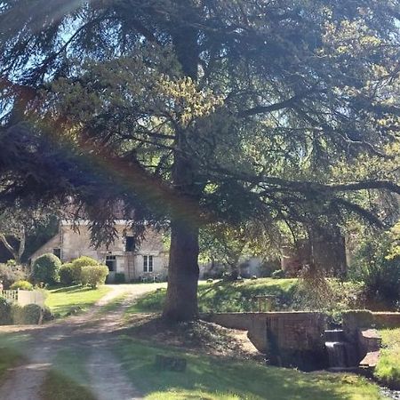 Le Moulin Du Mesnil Bed & Breakfast Saint-Georges-sur-Cher Exterior foto
