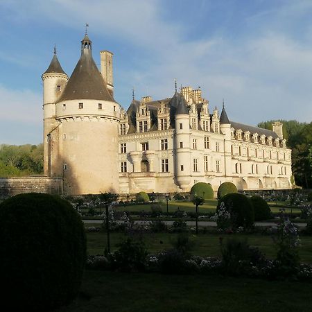 Le Moulin Du Mesnil Bed & Breakfast Saint-Georges-sur-Cher Exterior foto