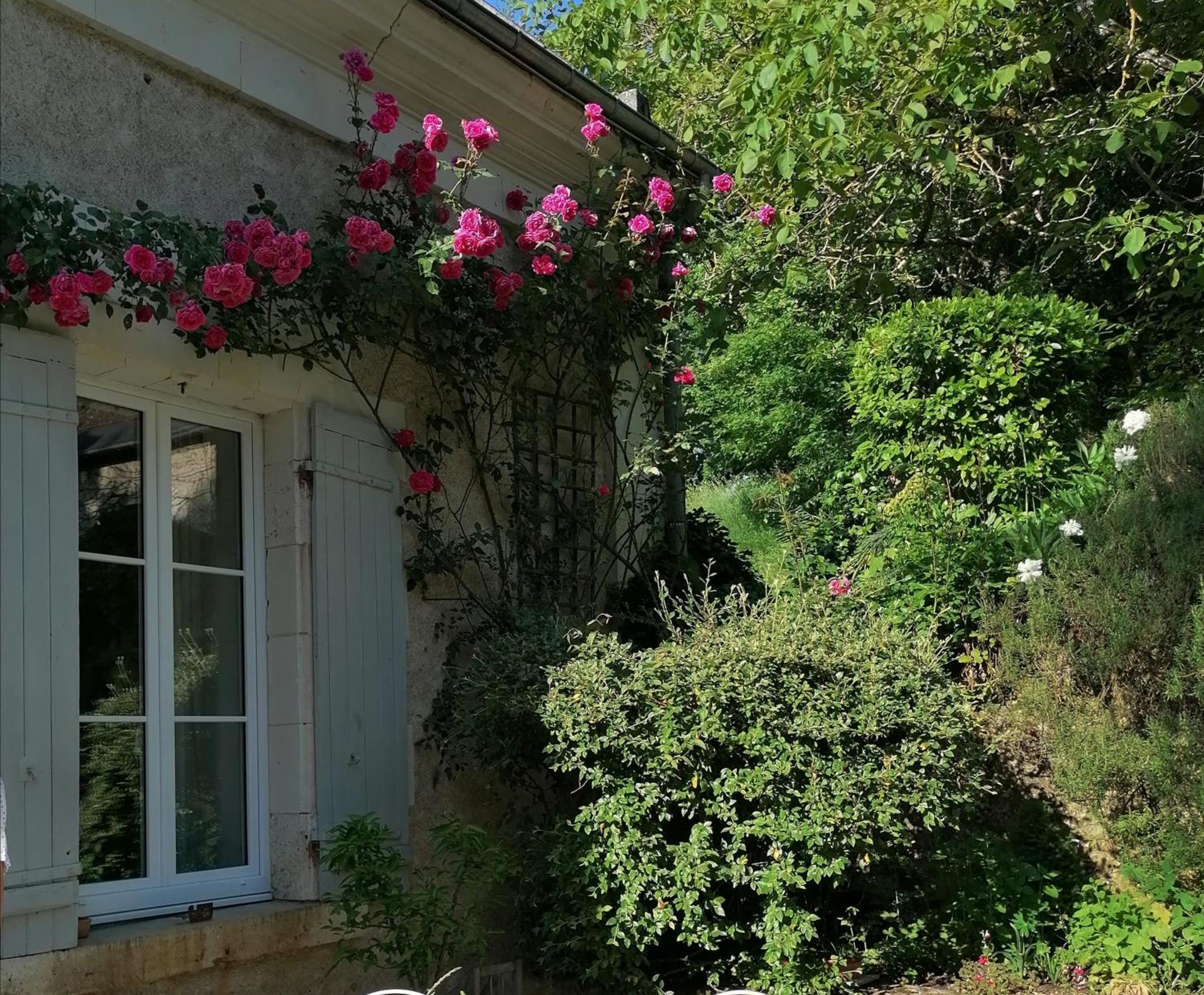 Le Moulin Du Mesnil Bed & Breakfast Saint-Georges-sur-Cher Exterior foto